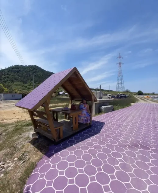 purple island Banwold Island in south korea 2024-11-03 at 5.22.04 PM